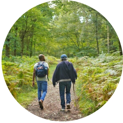 Green forest trek near Myka's Viswam Resorts